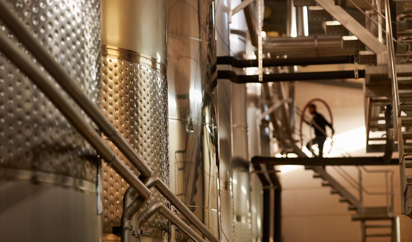 Opening of a cellar with a winery