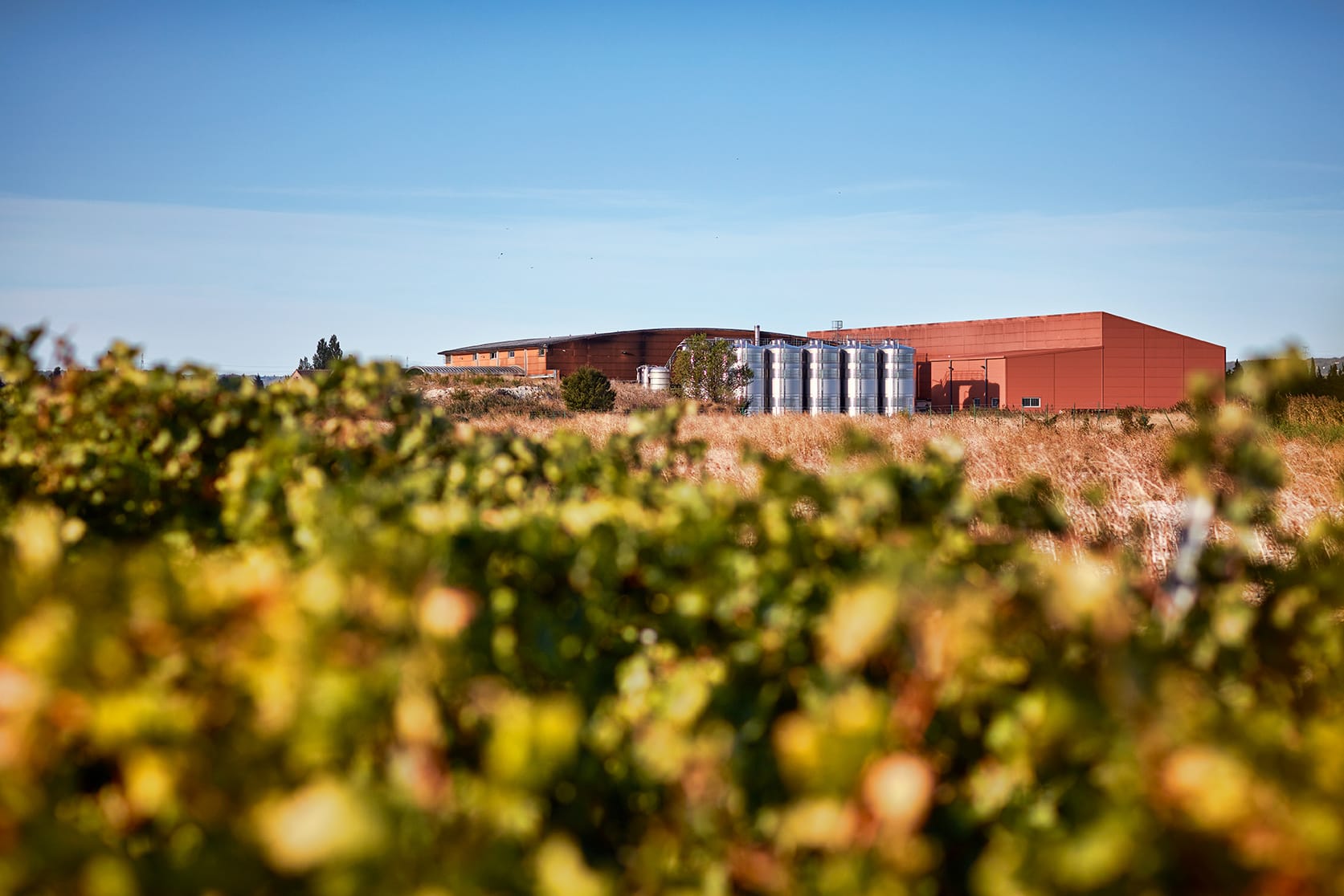 — 2013 Cellier des Chartreux augmente sa surface de production / stockage de 1200 m2.